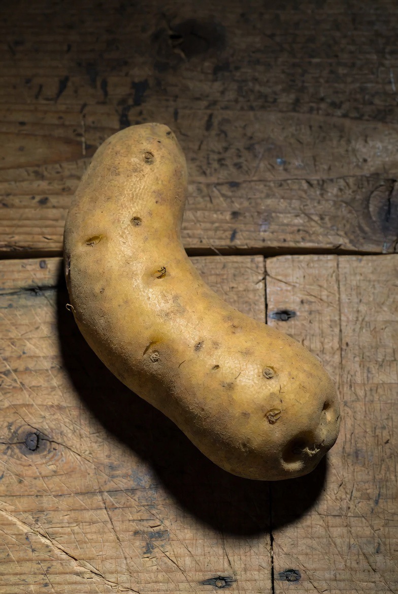 Potato